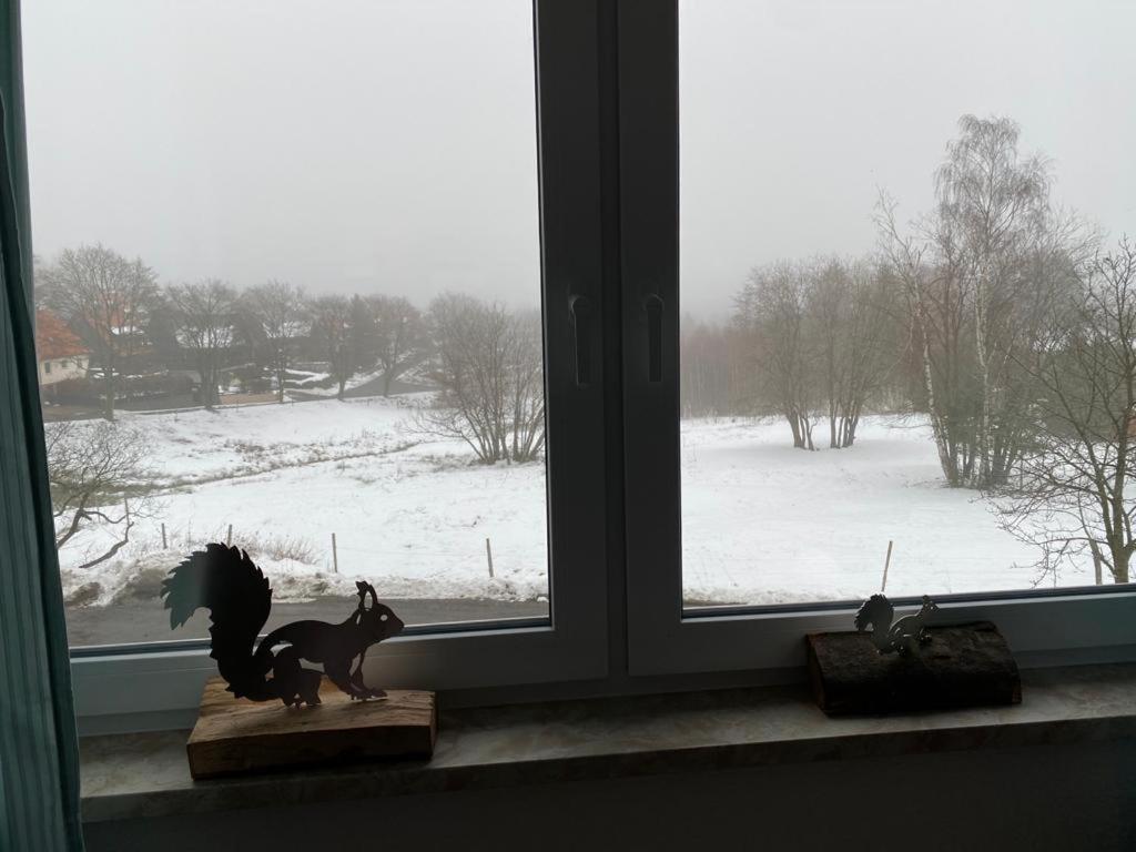 Urlaubshaus-Braunlage Wg 3 Apartamento Exterior foto
